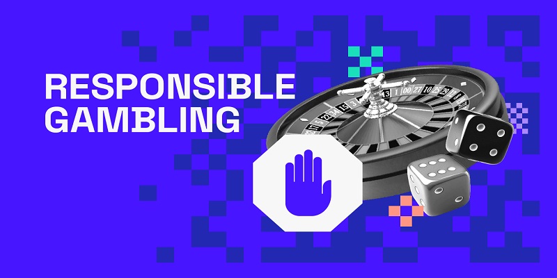 Responsible Gambling in India - Playwise365.net